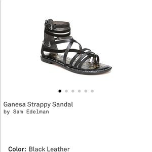 Sam Edelman Ganesha Gladiator Sandals NEW 7.5